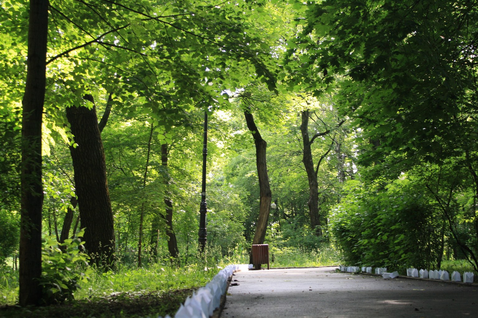 Parcul Copou